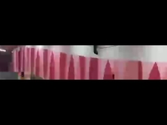 Система 4800bps/100m стоянки корабля LPR для безопасности дороги